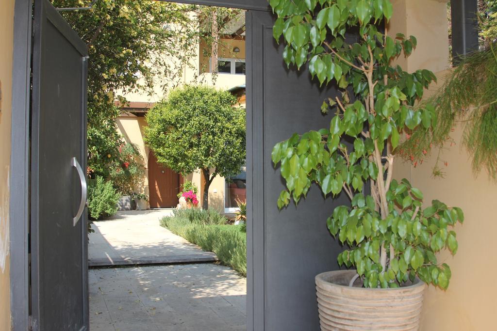 Lida Garden Loft Villa Anavyssos Dış mekan fotoğraf